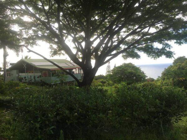 Ocean View Retreat Center on 11.3 Acres of Tropical Gardens in Hana, Hawaii - Image 2