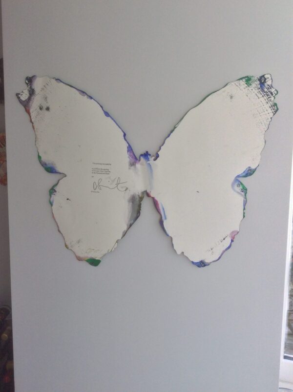 Butterfly Spin Painting by Damian Hirst - 2009 - Image 4