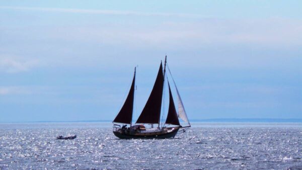 1994 Steel Gaff Rigged Ketch - San Francisco Bay - Image 10